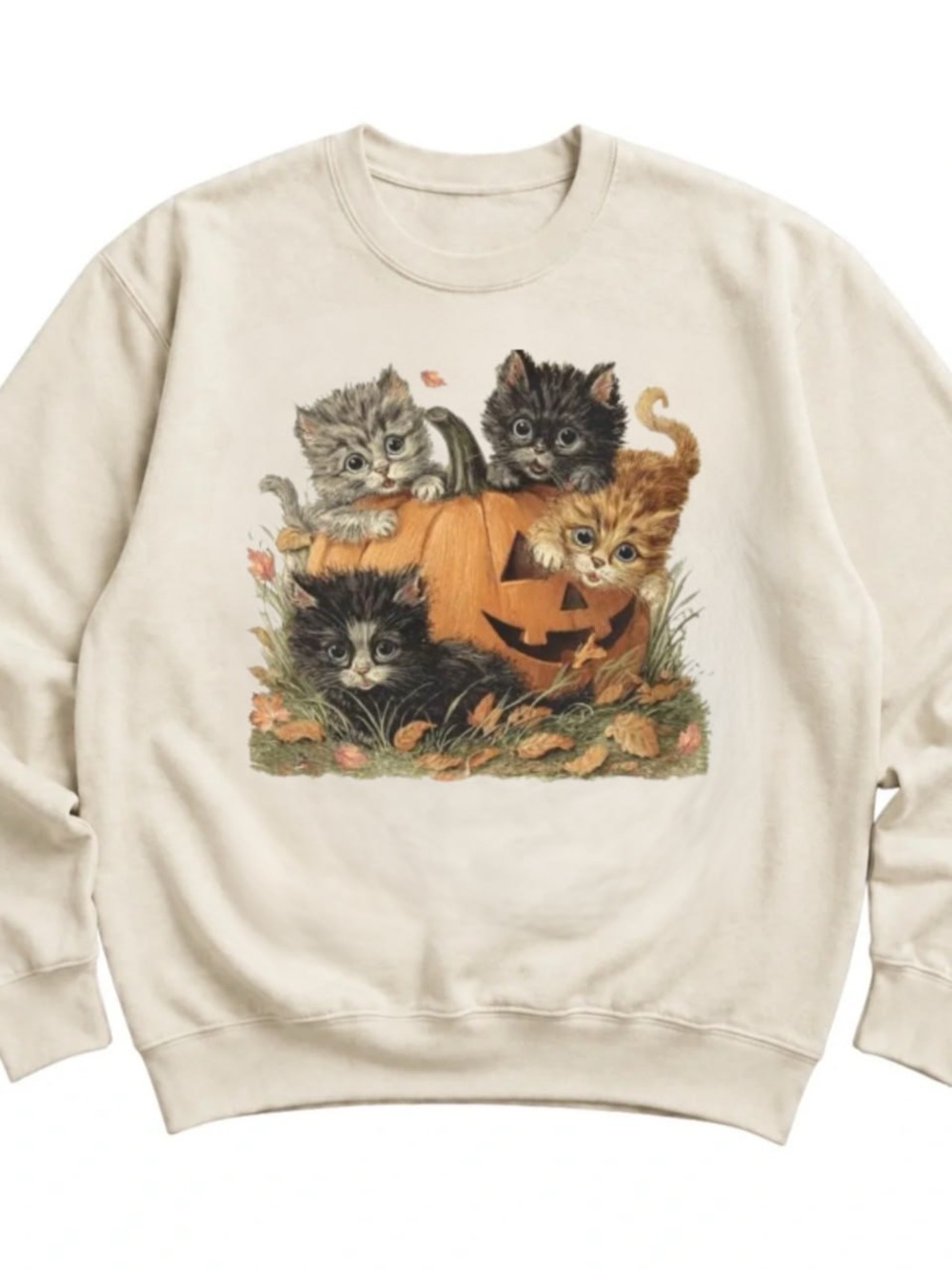 Cream Sweatshirt with Pumpkin and Kittens Graphic
